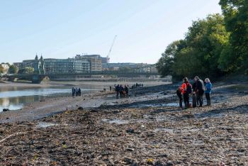 WET_WIPE_ISLAND_WET_WIPE_REMOVAL_BY_VOLUNTEERS.jpg
