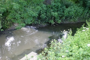 ANGLIAN WATER RIVER WID