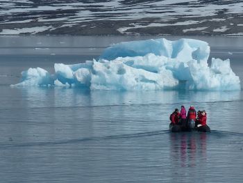 ARCTIC SEA ICE