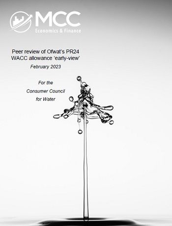 CCW PEER REVIEW OFWAT PR24 WACC ALLOWANCE 1