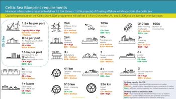 CELTIC SEA BLUEPRINT REQUIREMENTS