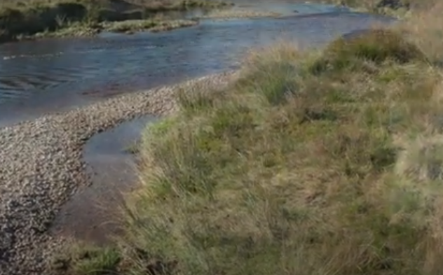 CHALK STREAM