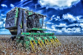 COTTON_HARVESTING_1.jpg
