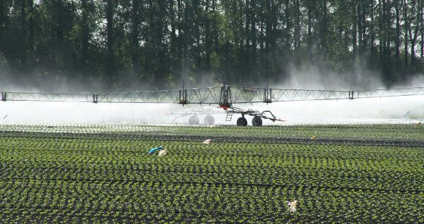 CROP IRRIGATION NFU 1