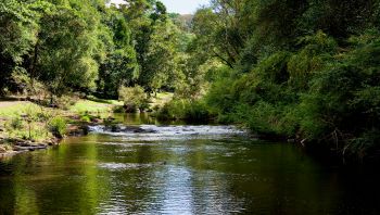 Catchment_ATKINS_1.jpg