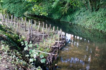 Catchment_ATKINS__2.jpg