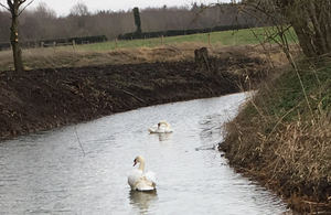 DREDGED  SCRAPED BACK RIVER BANKS