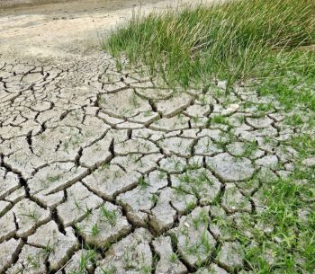 DROUGHT