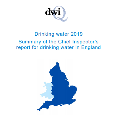 DWI REPORT 2019