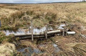 Dam - leaky  - Sheffield Lakeland Lanscape