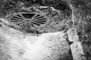 Drainage cover 1