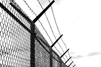 FENCE barbed-wire 1
