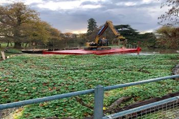 FLOATING_PENNYWORT_ON_RIVER_WEY.jpg