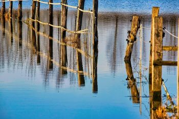 FLOOD WATER  FENCE