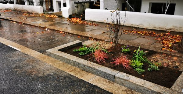 Godolphin TW rain garden 1