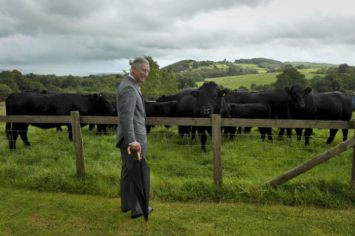 HRH PRINCE OF WALES