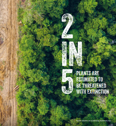 KEW 2 IN 5 PLANTS EXTINCTION THREAT