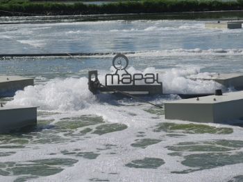 MAPAL