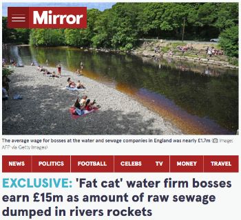 MIRROR FAT CAT WATER ARICLE 15 FEB 2022