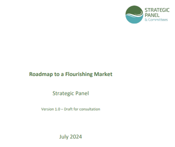 MOSL STRATEGIC PANEL Roadmap to a Flourishing Market consultation july 24