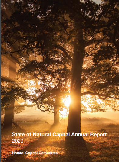 NATURAL CAPITAL COMMITTEE ANN REPORT 2020