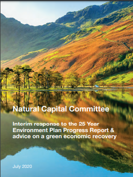 NCC interim response GOVT 25 YEP 2020 PROGRESS REPORT