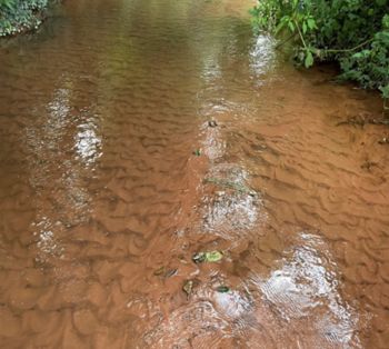 Back Stream water course pollution soil in river 1