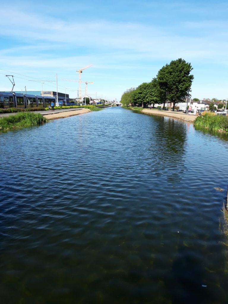 DUBLIN GRAND CANAL