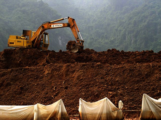 Digger soil hill forest