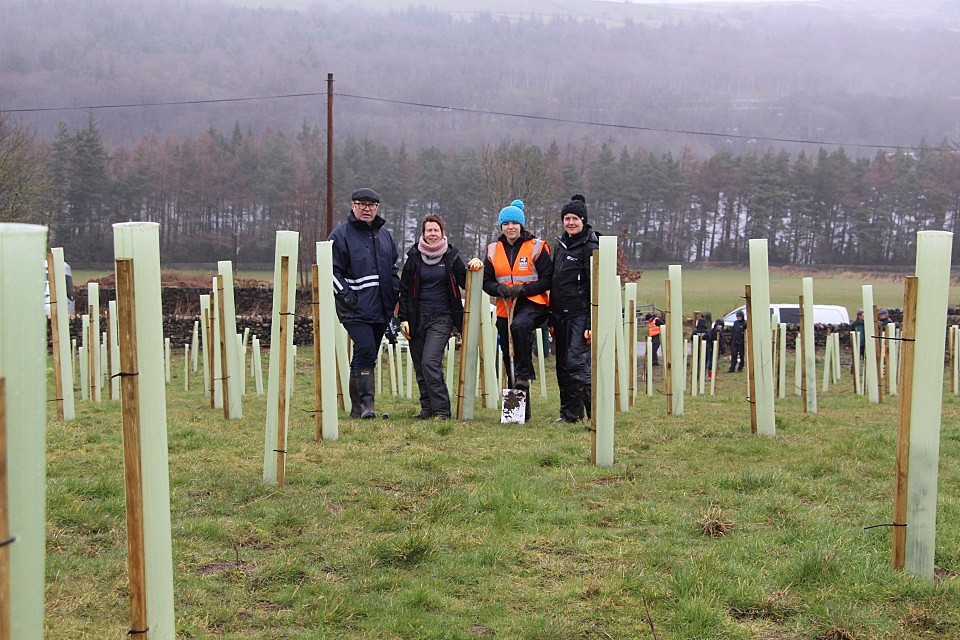 EA TREE PLANTING RIVER DON
