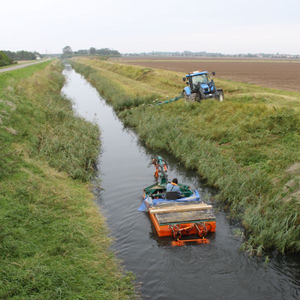 IDB fieldwork Ian Moodie cropped 1