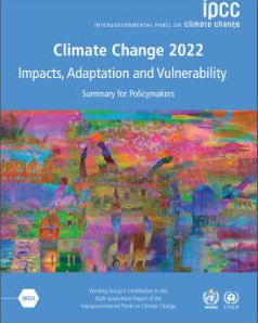 IPCC - WORKING GROUP II REPORT FEB 2022