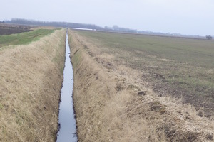 Polluted emneth hungate  watercourse