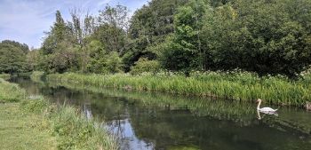 River Test Hampshire 1