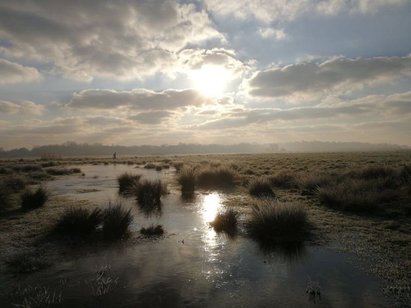 SUFFOLK BROADS PROJECT 1
