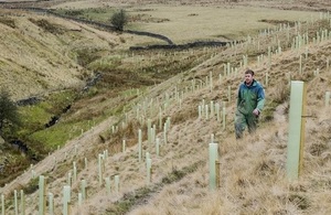 WOODLANDS PLANTING SCHEME