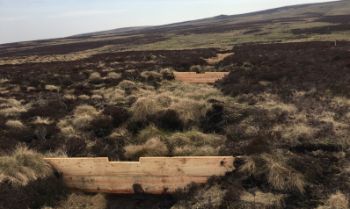 Yorkshire Water peatland restoration