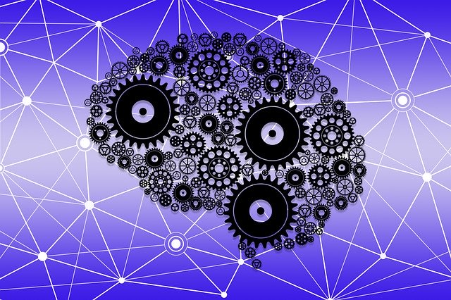 brain-4521220 640