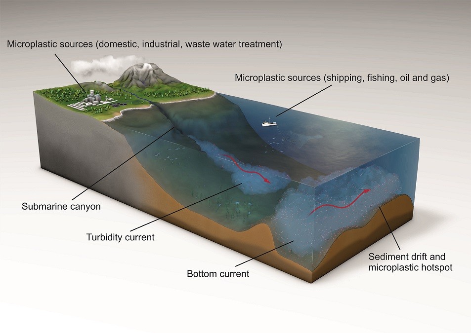 deep ocean microplastic current hotspots