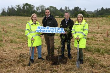 NIWater - Halfway to1 MillionTrees Planting Goal
