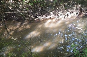 NORTUMBRIAN WATER Monkton Burn POLLUTION