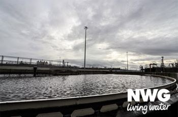 NWG GROUP GENERIC IMAGE 1