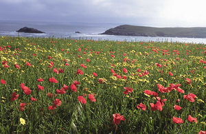 Natural England generic