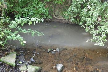 POLLUTION Hookstone Beck YORKSHIRE WATER