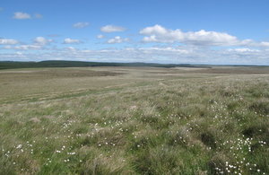 Peatland - Butterburn flow