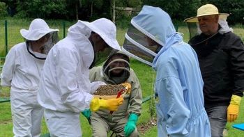 Pebble fund beekeeping