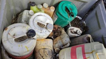 Pesticide amnesty out of date chemicals