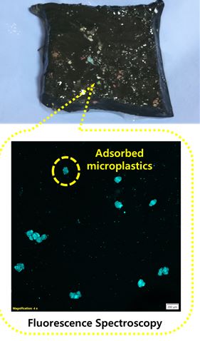 Pgel adsorbed microplastics
