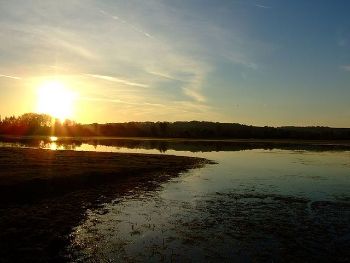 Port Meadow River Thames Oxford 1
