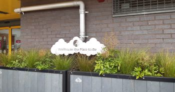 RAIN GARDEN IN GLASGOW